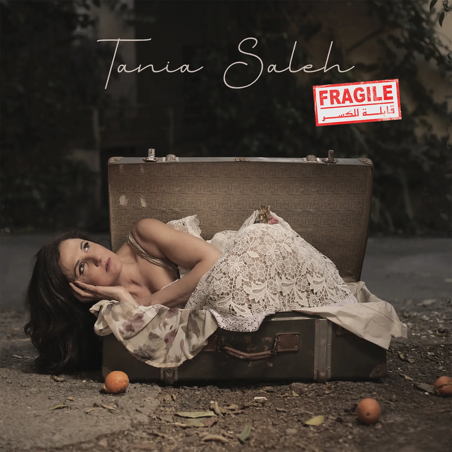 Fragile Lyrics Booklet